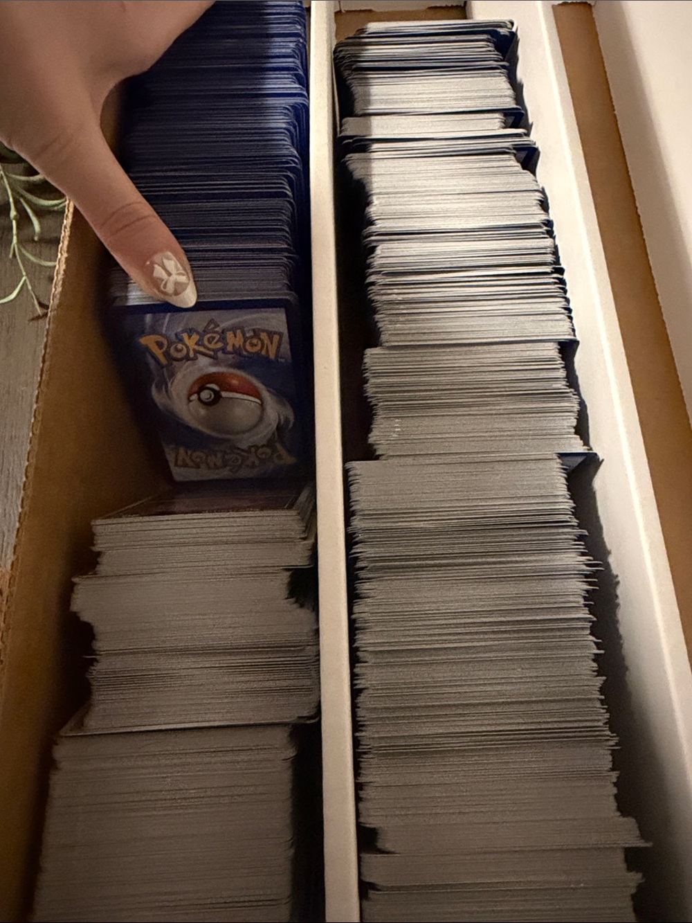 Pokemon Trading Cards for beginners!